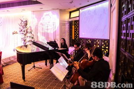 長笛色士風,鉆石山及馬鞍山上課,每堂 150,音樂教育系畢業