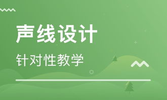 武漢詩睿迪音樂怎么樣 武漢詩睿迪音樂教育 課程價格