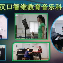 武漢智維教育咨詢中心江岸分部 供應產品