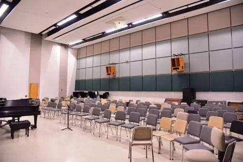 國際音樂精英培錄計劃 夏令營2017季精彩回顧